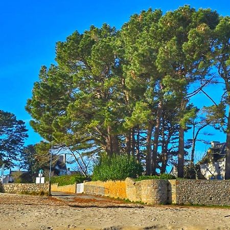 Cocon Neuf - 6 A 8 Pers 3 Chb Proche Plage, Port, Centre Ville Сен-Пиер-Киберон Екстериор снимка