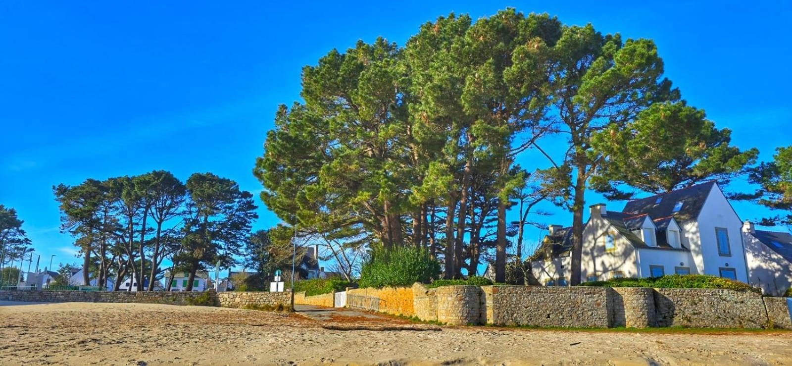 Cocon Neuf - 6 A 8 Pers 3 Chb Proche Plage, Port, Centre Ville Сен-Пиер-Киберон Екстериор снимка